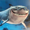 ehockenjos